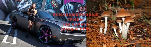 ALPHA-PVP Зерноград